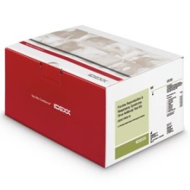 Prueba IDEXX PRRS X3 Ab